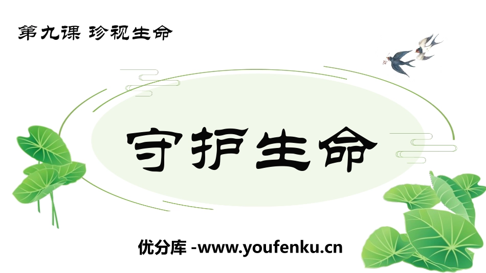《守护生命》PPT优秀课件[七年级道德与法治上册]_第1页