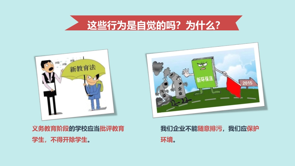 《生活需要法律》PPT精品课件[七年级道德与法治下册]_第3页
