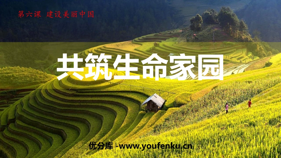 《共筑生命家园》PPT优质课件[九年级道德与法治上册]_第1页
