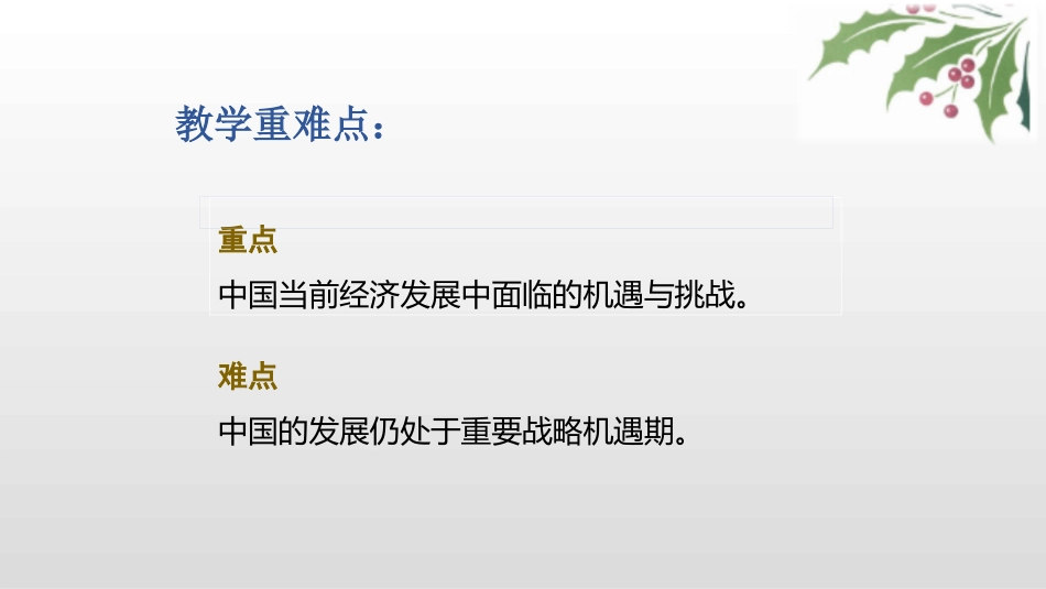 《中国的机遇与挑战》PPT教学课件[九年级道德与法治下册]_第3页