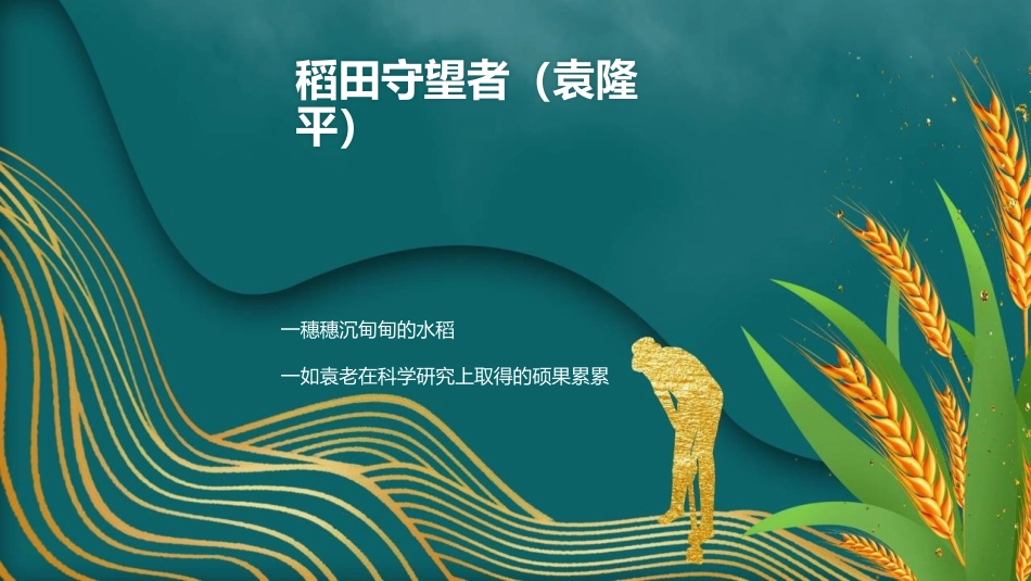 《我心目中的英雄-袁隆平》PPT班会课件[德育主题班会PPT]_第2页