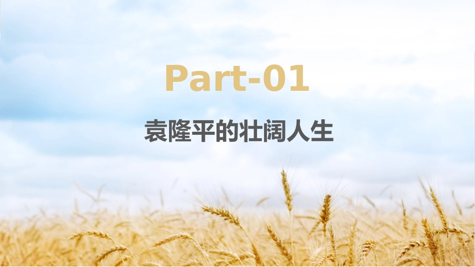《缅怀杂交水稻之父》PPT班会课件[德育主题班会PPT]_第3页