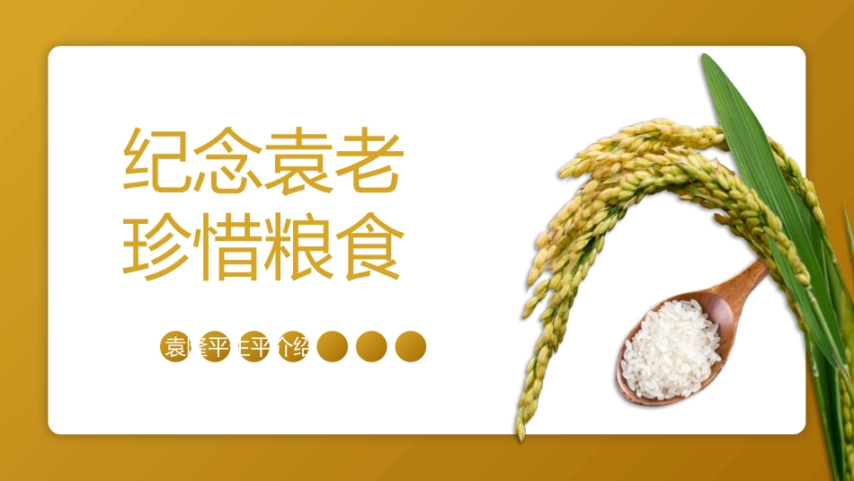《纪念袁老 珍惜粮食》PPT班会课件[德育主题班会PPT]_第3页