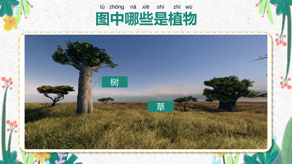 《我们知道的植物》PPT课件[教科版一年级科学上册]_第1页