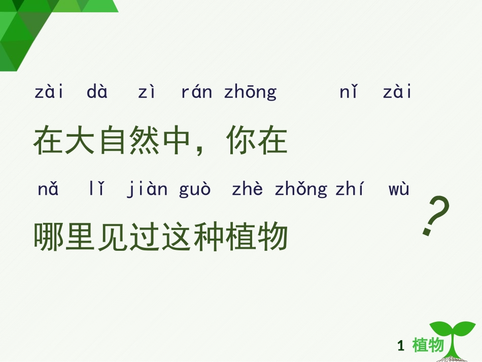 《观察一棵植物》PPT教学课件[教科版一年级科学上册]_第2页