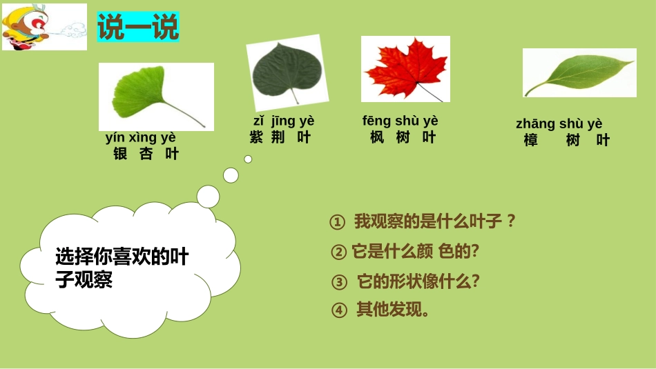 《观察叶》PPT教学课件[教科版一年级科学上册]_第2页