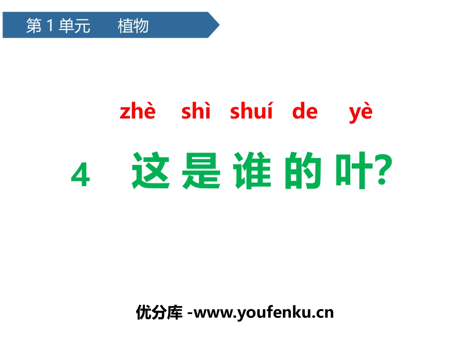 《这是谁的叶?》PPT课件[教科版一年级科学上册]_第1页
