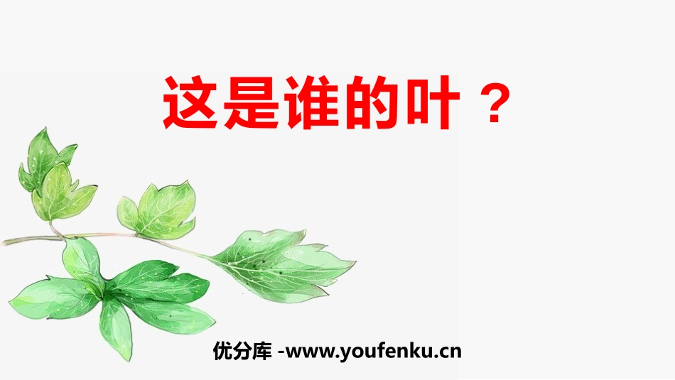《这是谁的叶?》PPT课件[教科版一年级科学上册]_第1页