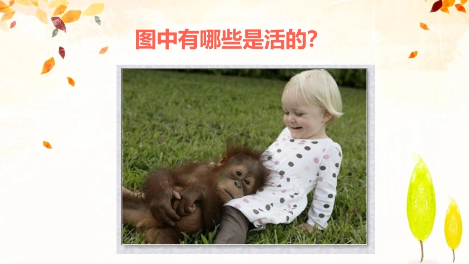 《植物是“活”的吗?》PPT课件[教科版一年级科学上册]_第2页