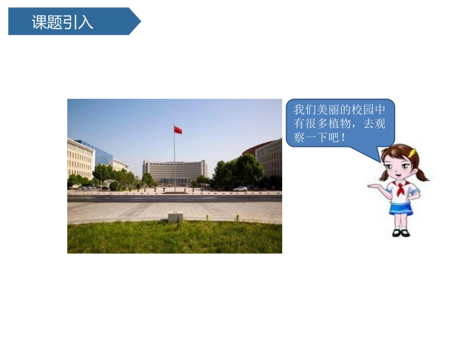 《校园里的植物》PPT课件[教科版一年级科学上册]_第2页