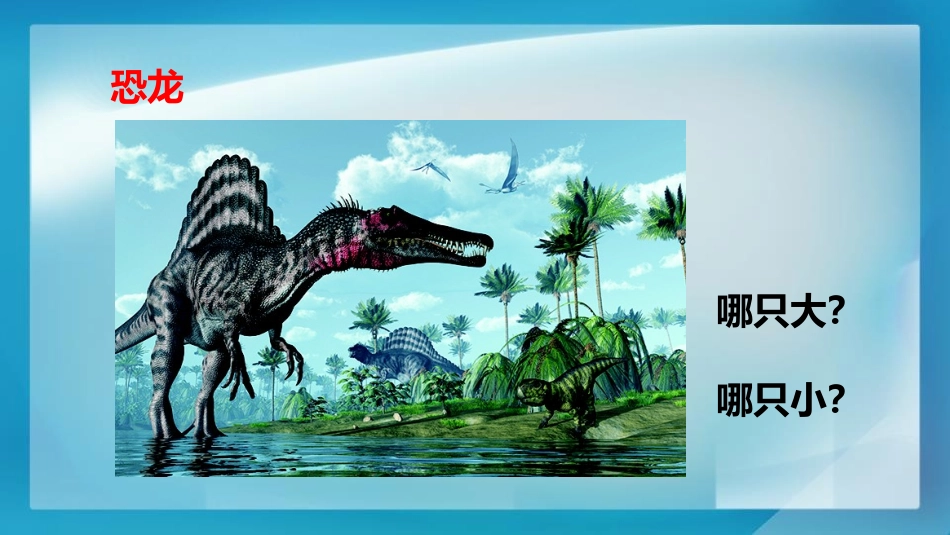 《在观察中比较》PPT课件[教科版一年级科学上册]_第2页
