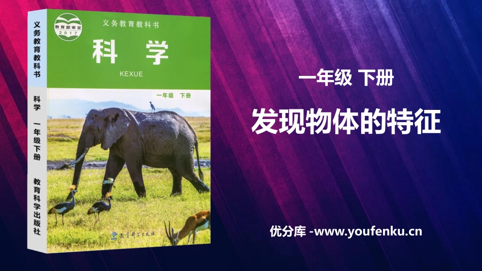 《发现物体的特征》PPT课件[教科版一年级科学下册]_第1页
