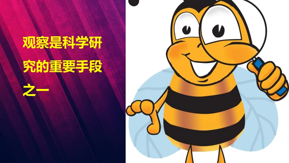 《发现物体的特征》PPT课件[教科版一年级科学下册]_第2页