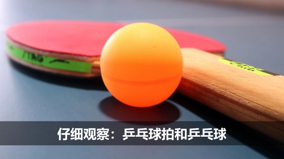 《发现物体的特征》PPT课件[教科版一年级科学下册]_第3页