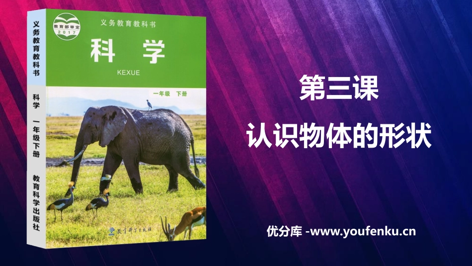 《认识物体的形状》PPT课件[教科版一年级科学下册]_第1页