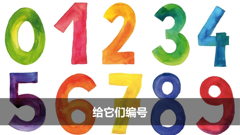 《给物体分类》PPT课件[教科版一年级科学下册]_第3页