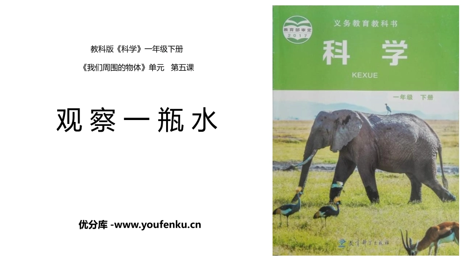 《观察一瓶水》PPT课件[教科版一年级科学下册]_第1页