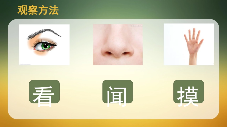 《它们去哪了》PPT教学课件[教科版一年级科学下册]_第2页