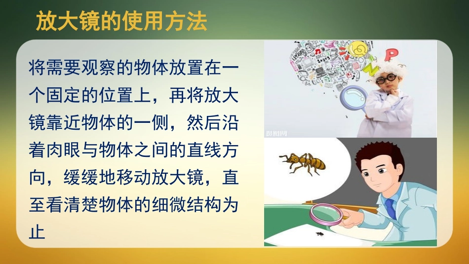 《它们去哪了》PPT教学课件[教科版一年级科学下册]_第3页