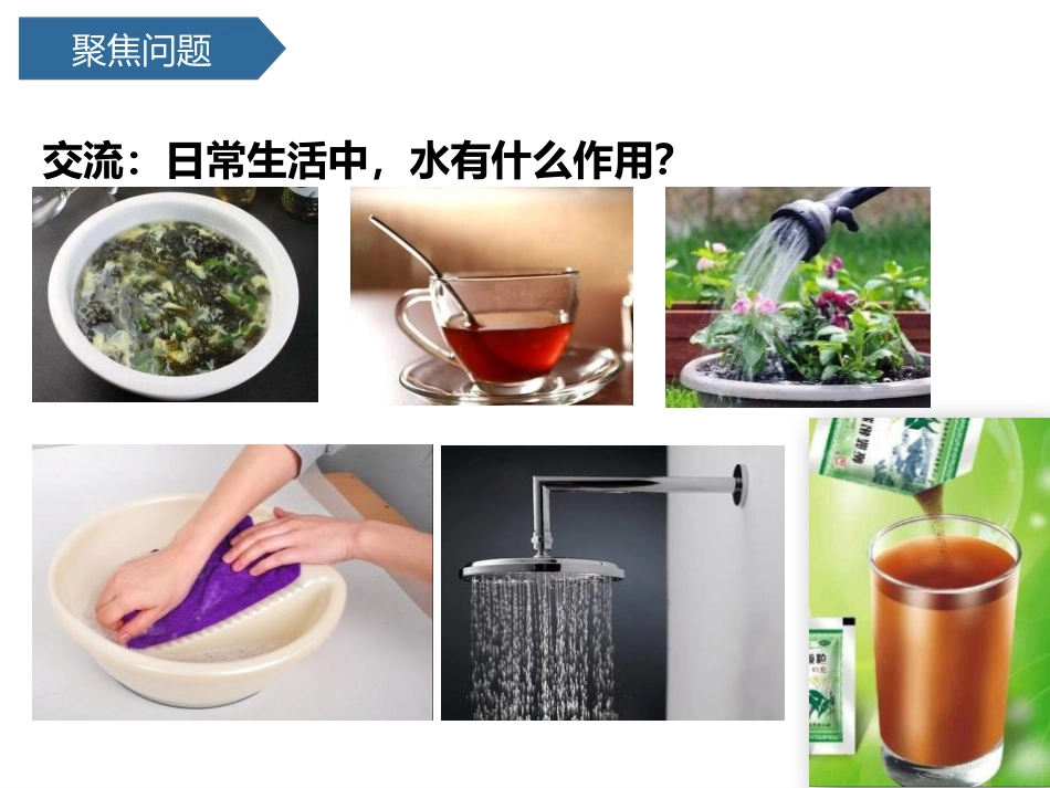 《它们去哪了》PPT课件[教科版一年级科学下册]_第3页