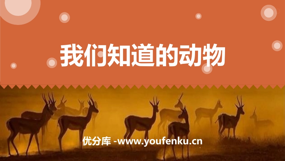《我们知道的动物》PPT课件[教科版一年级科学下册]_第1页