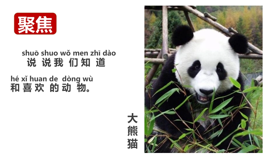 《我们知道的动物》PPT课件[教科版一年级科学下册]_第3页