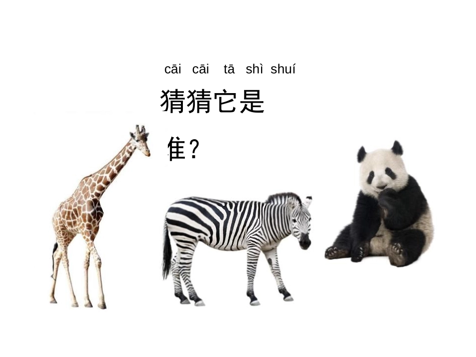 《我们知道的动物》PPT课件[教科版一年级科学下册]_第2页