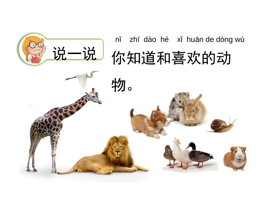 《我们知道的动物》PPT课件[教科版一年级科学下册]_第3页