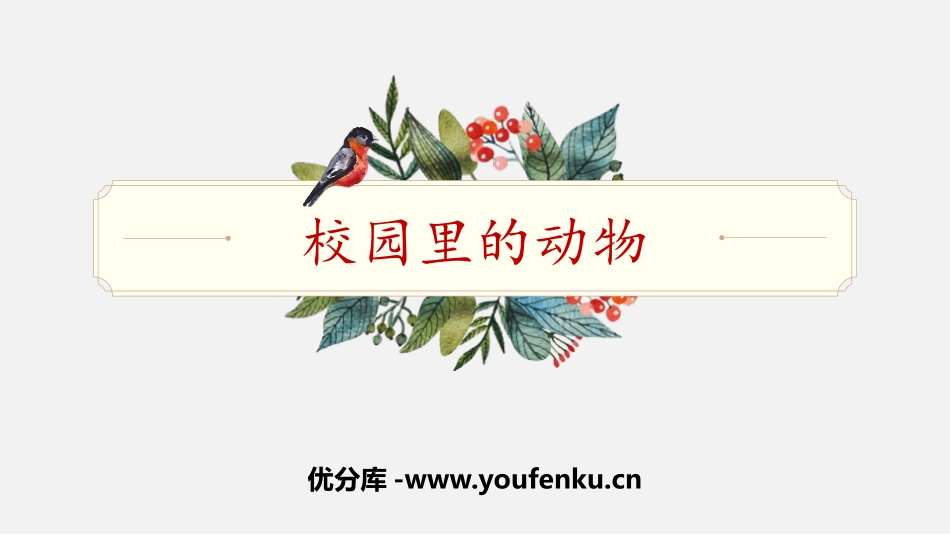 《校园里的动物》PPT课件[教科版一年级科学下册]_第1页