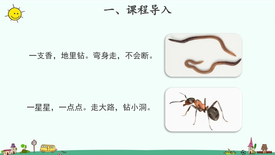 《校园里的动物》PPT课件[教科版一年级科学下册]_第2页