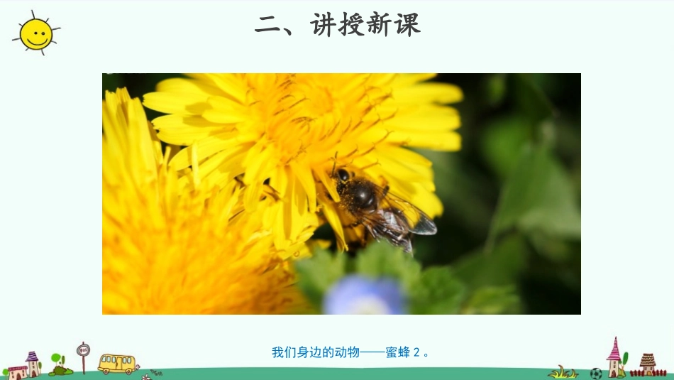 《校园里的动物》PPT课件[教科版一年级科学下册]_第3页