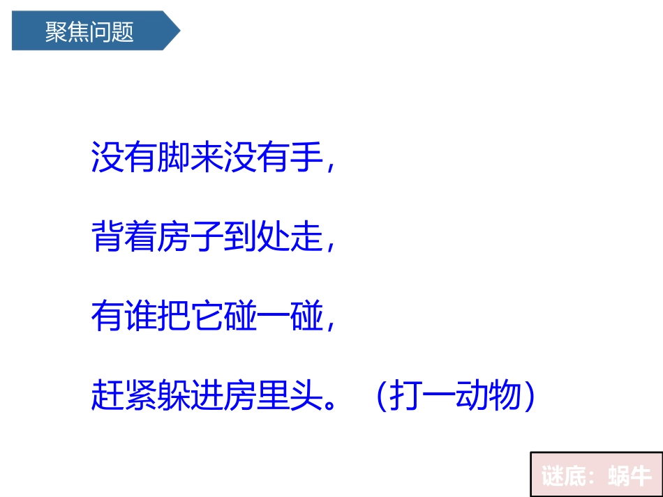 《观察一种动物》PPT课件[教科版一年级科学下册]_第3页