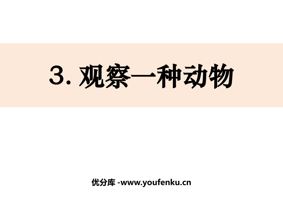 《观察一种动物》PPT课件[教科版一年级科学下册]_第1页