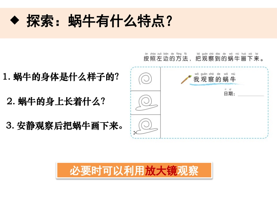 《观察一种动物》PPT课件[教科版一年级科学下册]_第3页