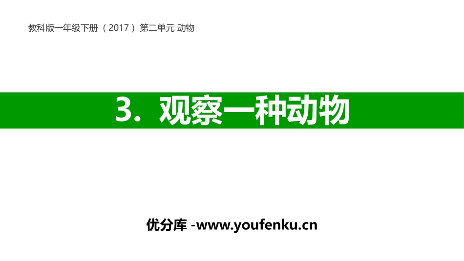 《观察一种动物》PPT教学课件[教科版一年级科学下册]_第1页