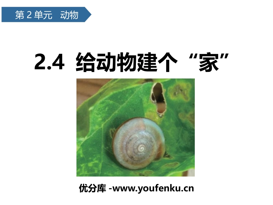 《给动物建个“家”》PPT课件[教科版一年级科学下册]_第1页