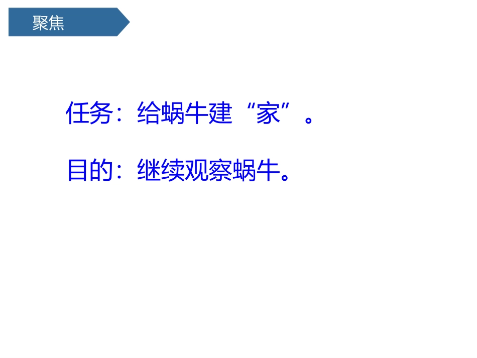 《给动物建个“家”》PPT课件[教科版一年级科学下册]_第3页