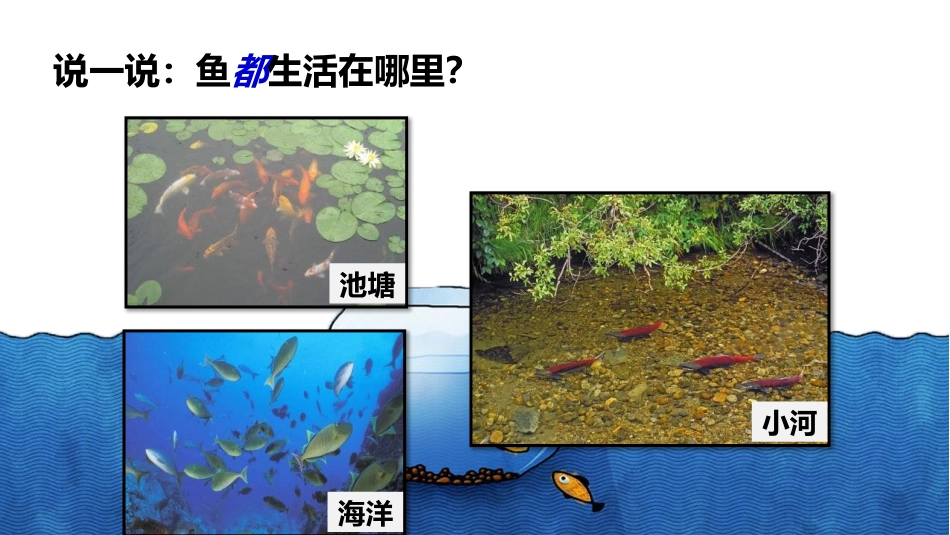 《观察鱼》PPT课件[教科版一年级科学下册]_第3页