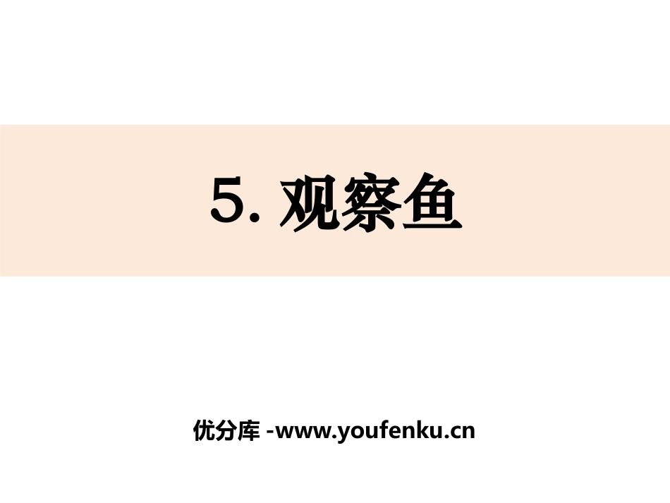 《观察鱼》PPT课件[教科版一年级科学下册]_第1页