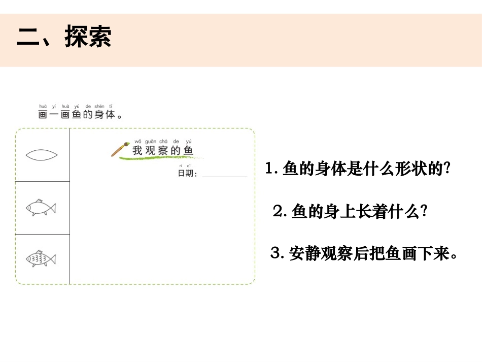 《观察鱼》PPT课件[教科版一年级科学下册]_第3页