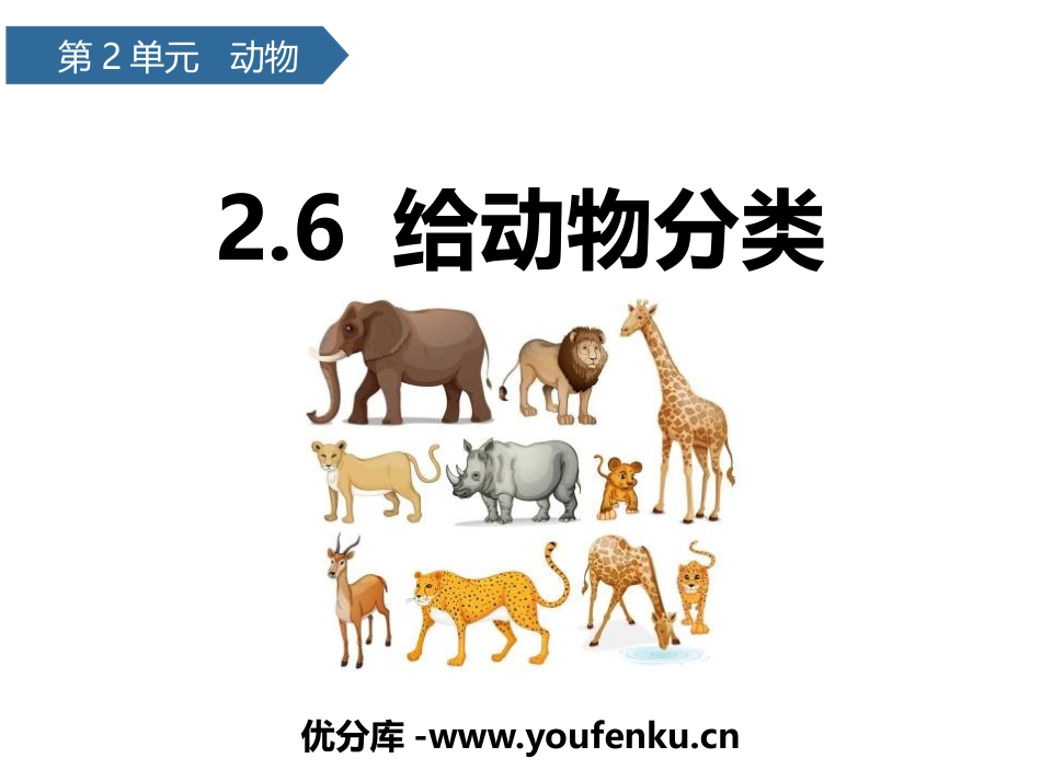 《给动物分类》PPT课件[教科版一年级科学下册]_第1页