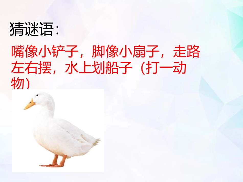 《给动物分类》PPT课件[教科版一年级科学下册]_第2页