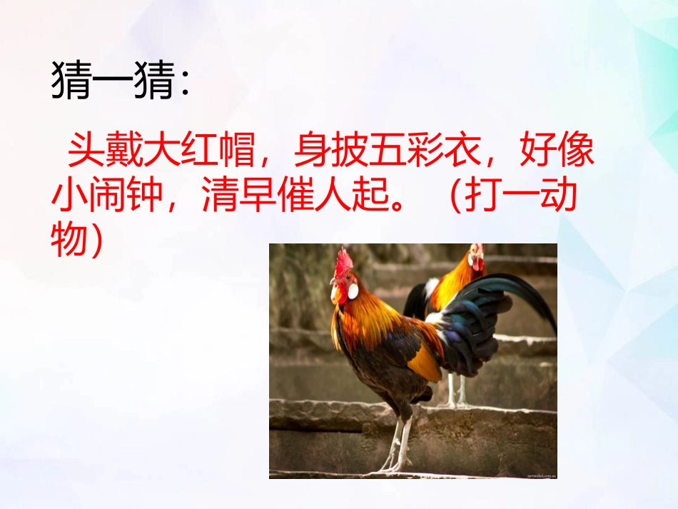 《给动物分类》PPT课件[教科版一年级科学下册]_第3页
