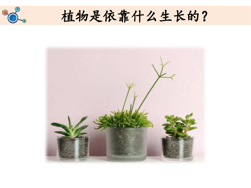 《土壤-动植物的乐园》PPT课件[教科版二年级科学上册]_第2页