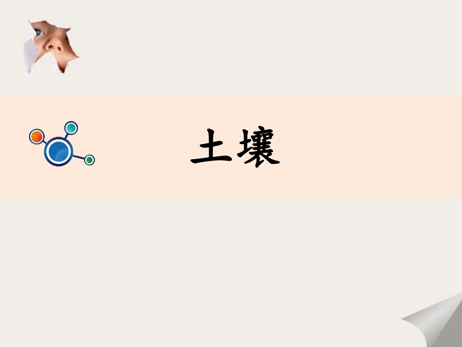 《土壤-动植物的乐园》PPT课件[教科版二年级科学上册]_第3页