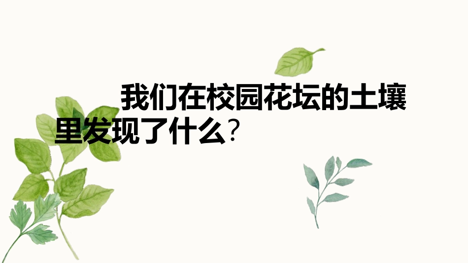 《土壤-动植物的乐园》PPT课件[教科版二年级科学上册]_第1页