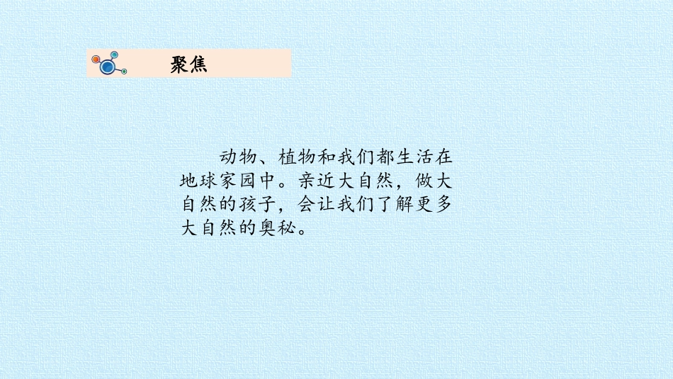 《做大自然的孩子》PPT课件[教科版二年级科学上册]_第2页