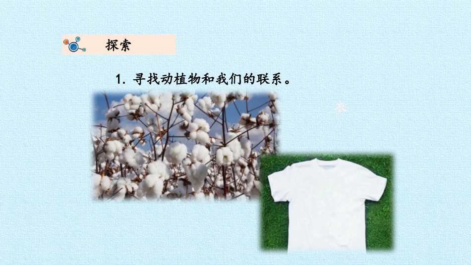 《做大自然的孩子》PPT课件[教科版二年级科学上册]_第3页