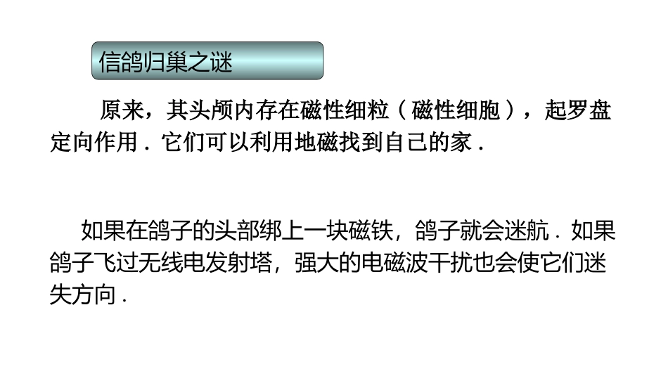 《磁铁和我们的生活》PPT教学课件[教科版二年级科学下册]_第3页