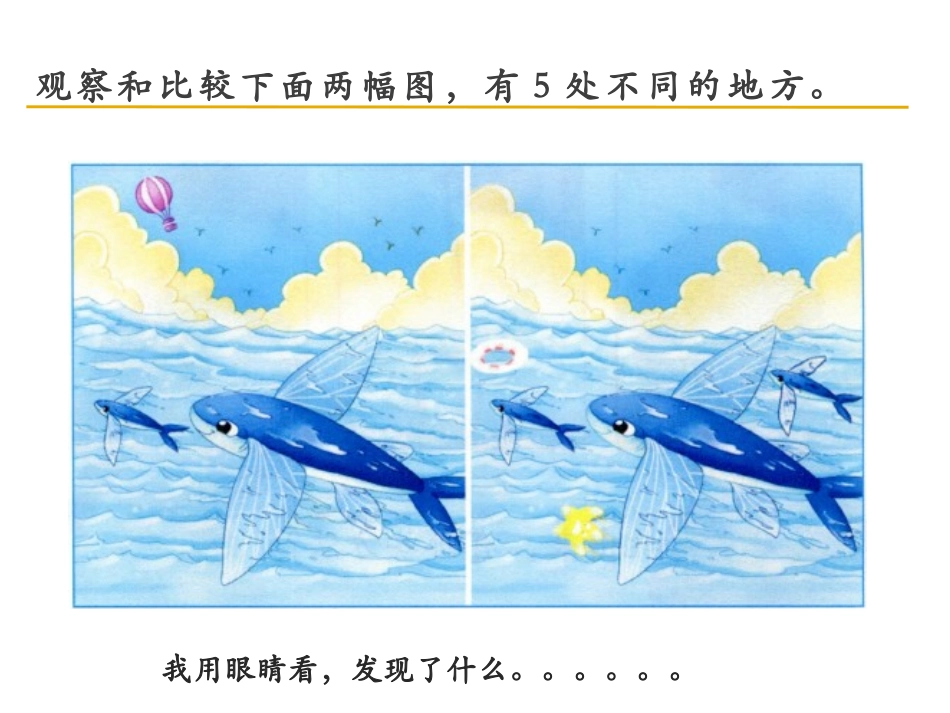 《观察与比较》PPT教学课件[教科版二年级科学下册]_第3页